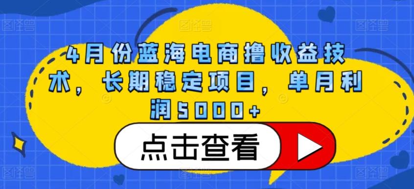 4月份蓝海电商撸收益技术，长期稳定项目，单月利润5000+【揭秘】-轻创网
