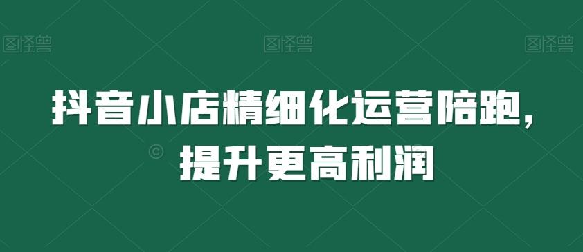抖音小店精细化运营陪跑，提升更高利润-轻创网
