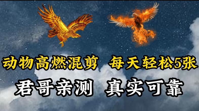 动物超燃混剪，每天轻松5张，剪辑简单大家爱看【揭秘】-轻创网