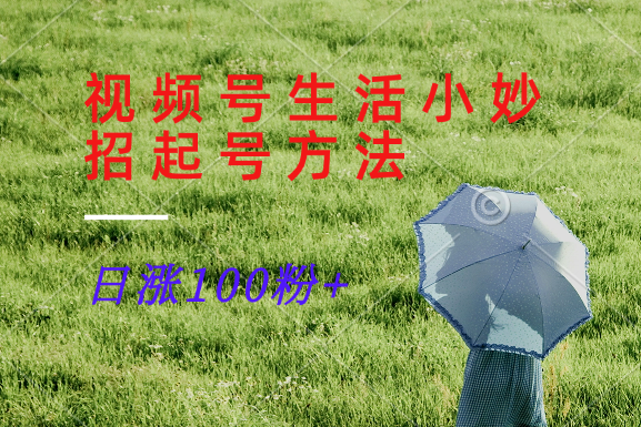 视频号生活小妙招分享赛道， 起号涨粉新方法，日涨100粉-轻创网