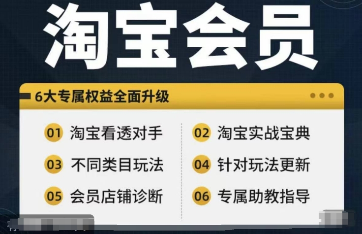 淘宝会员【淘宝所有课程，全面分析对手】，初级到高手全系实战宝典-轻创网