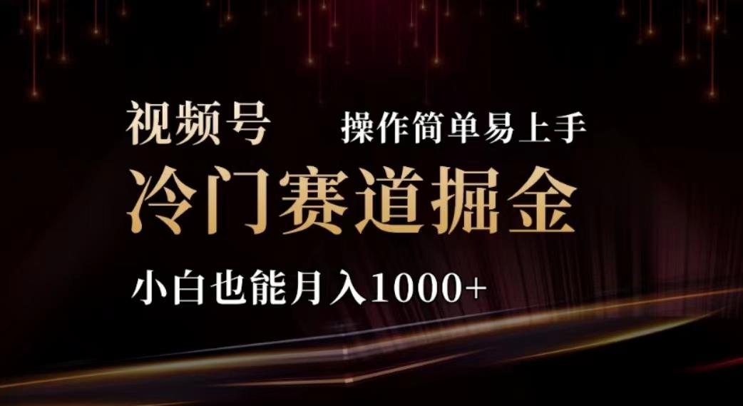 2024视频号冷门赛道掘金，操作简单轻松上手，小白也能月入1000+-轻创网