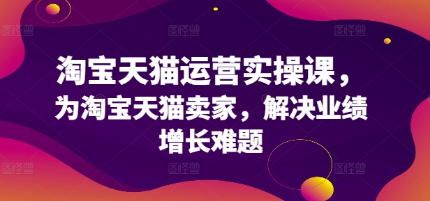 淘宝天猫运营实操课，为淘宝天猫卖家，解决业绩增长难题-轻创网
