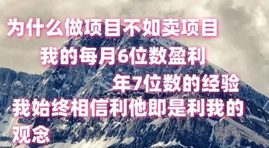 做项目不如卖项目，每月6位数盈利，年7位数经验-轻创网