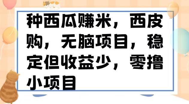 种西瓜赚米，西皮购稳定长久零撸小项目-轻创网