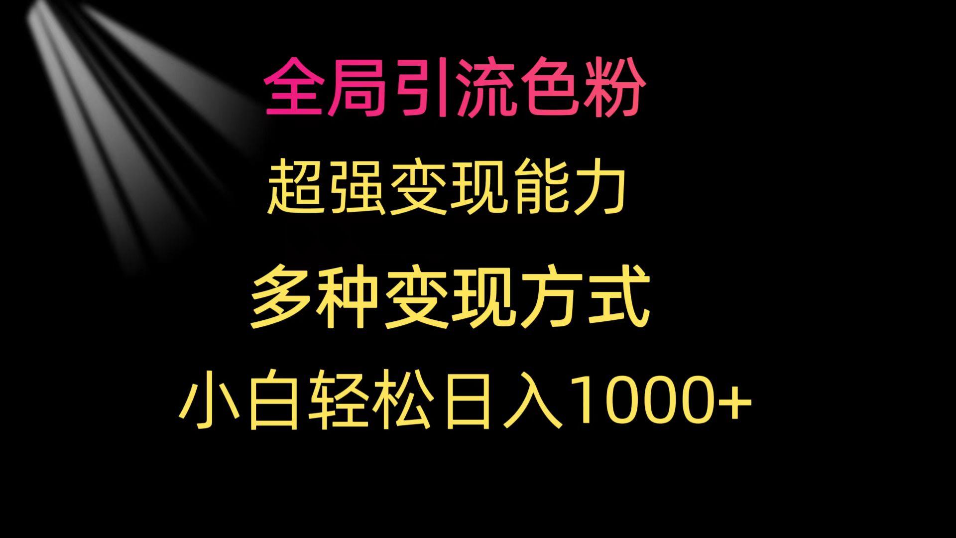 (9680期)全局引流色粉 超强变现能力 多种变现方式 小白轻松日入1000+-轻创网