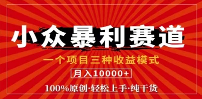 视频号最新爆火赛道，三种可收益模式，0粉新号条条原创条条热门 日入1000+-轻创网