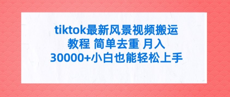 tiktok最新风景视频搬运教程 简单去重 月入3W+小白也能轻松上手【揭秘】-轻创网