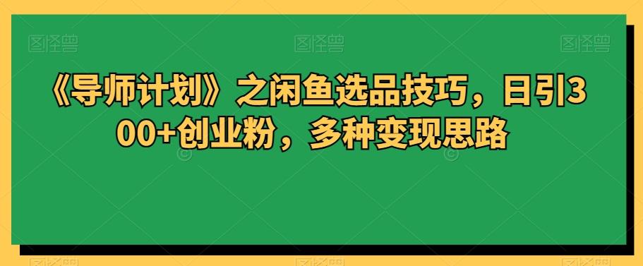 《导师计划》之闲鱼选品技巧，日引300+创业粉，多种变现思路-轻创网