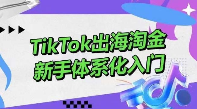 TikTok出海淘金，新手体系化入门，零基础快速入门，掌握短视频、直播带货等引流到变现的知识-轻创网
