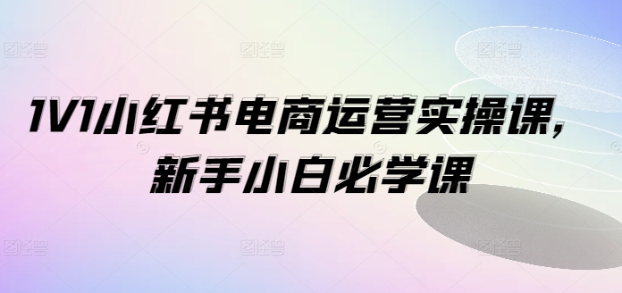 1V1小红书电商运营实操课，新手小白必学课-轻创网