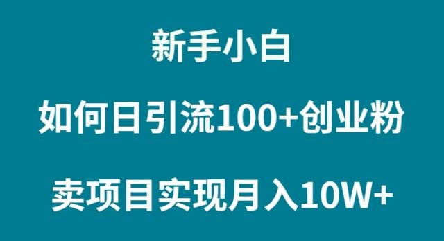 (9556期)新手小白如何通过卖项目实现月入10W+-轻创网