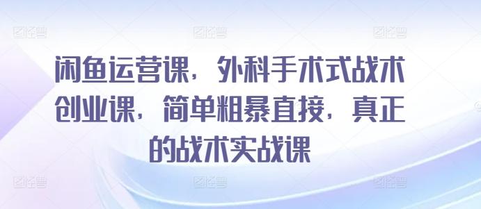 闲鱼运营课，外科手术式战术创业课，简单粗暴直接，真正的战术实战课-轻创网