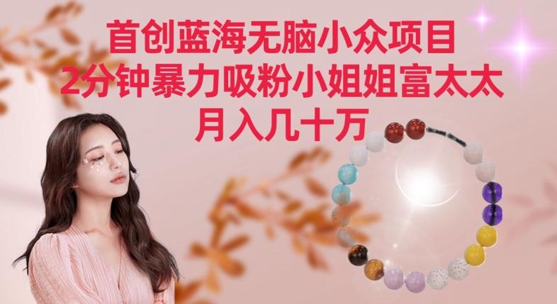 首创蓝海无脑小众项目，2分钟暴力吸粉小姐姐富太太，月入几十万【揭秘】-轻创网