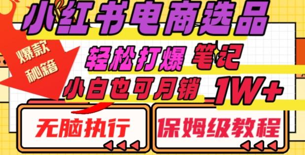 小红书电商爆款选品秘籍，帮你轻松打爆笔记，小白也可轻松月销10000+-轻创网
