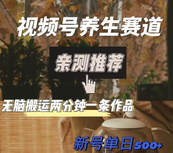 视频号养生赛道暴力掘金，无脑搬运，两分钟一条作品-新日单入500+-轻创网