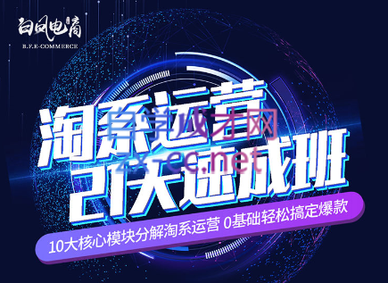 淘系运营21天速成班(更新24年6月)-轻创网
