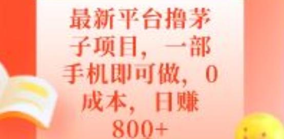 最新平台撸茅子项目，一部手机即可做，0成本，日赚800+-轻创网
