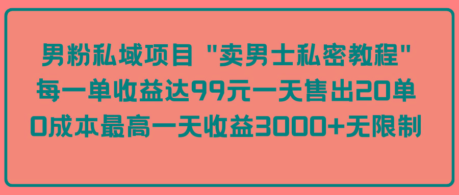 (9730期)男粉私域项目 “卖男士私密教程” 每一单收益达99元一天售出20单-轻创网