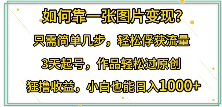 如何靠一张图片变现?只需简单几步，轻松俘获流量，3天起号，作品轻松过原创【揭秘】-轻创网