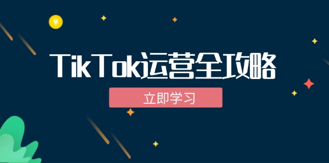 TikTok实战运营全攻略：从下载软件到变现，抖音海外版实操教程-轻创网