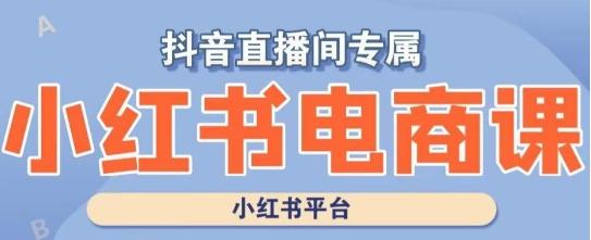小红书电商高级运营课程，实操教学+案例分析-轻创网