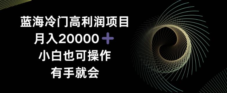 蓝海冷门高利润项目月入2000，小白也可操作有手就会-轻创网