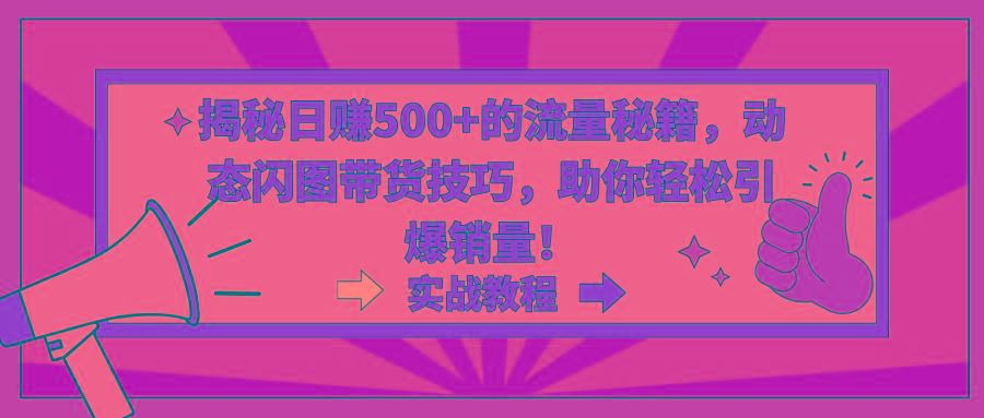 揭秘日赚500+的流量秘籍，动态闪图带货技巧，助你轻松引爆销量！-轻创网